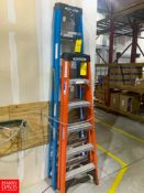 Werner 8ft Ladder Rigging: $25