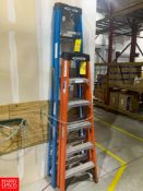 Werner 6ft Ladder 300lb Cap Rigging: $25