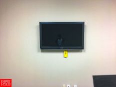 Panasonic TV Rigging: $50