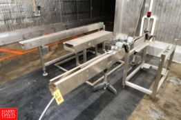 S/S Plastic Link-Belt Conveyors (1) 10' x 4.5