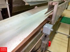 S/S Frame Belt Conveyor, Approx. 20' x 18
