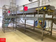 S/S Frame Power Belt Conveyor, Approx. 22' x 54