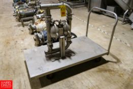 Murzan S/S Diaphragm Pump with 56