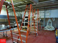 Featherlite Ladder (9 step), 10FT Rigging Fee: $35