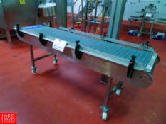S/S Frame Conveyor (belt size 92