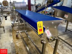 S/S Frame Conveyor 20