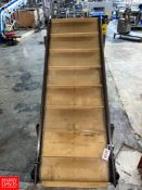 S/S Inclined Conveyor 25