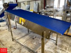 S/S Frame Inclined Conveyor 34