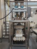 Ross S/S Vertical Form Fill And Seal Bagger, With 2 Head Scale Model: 55, S/N 5002, Located In