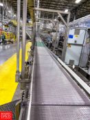 Alliance 43' S/S Frame Conveyor 24