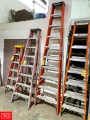 Werner 10' Fiberglass Ladder