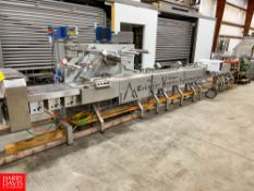 Everest K2 Flow Wrapper and Mettler Toledo Metal Detector with Domino D320i Coder 8