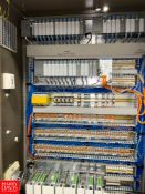 Allen Bradley SLC 5/04 CPU with 12 Rexroth ECO Servo Drives, Allen Bradley I/O Cards and Enclosure