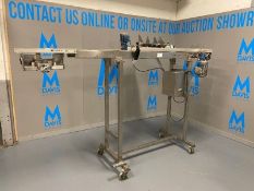 Straight Section of S/S Product Conveyor, Belt to Floor Height: Aprox. 65-1/2