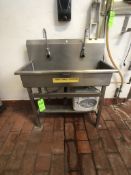 S/S 2-STATION SINK, 38