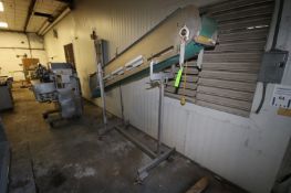 Incline S/S Conveyor, with Aprox. 105