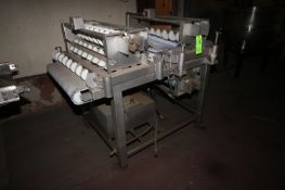 PES S/S Laner Conveyor, with Plastic Belt, with Aprox. 32