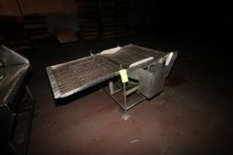 (2) S/S Straight Sections of Mesh Conveyor, Aprox. 34