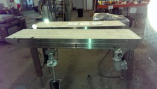 Multivac Conveyor, Aprox. 78-1/2