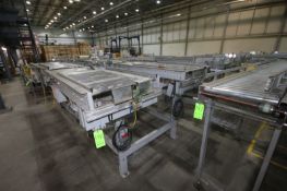 2-Units of Dual Roller Conveyor, Aprox. 29-1/2