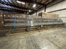 (3) SECTIONS OF STRAIGHT CONVEYOR ON (1) SKID,