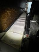 BMI CLEATED INFEED CONVEYOR, APPROX. 220