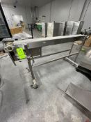 S/S CONVEYOR, APPROX. 6-1/2