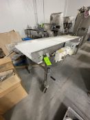 BMI S/S CONVEYOR WITH 9'6