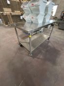 S/S TABLE WITH S/S BOTTOM SHELF, 60