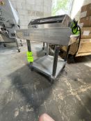 S/S TABLE WITH S/S BOTTOM SHELF AND S/S BACKSPLASH, 24