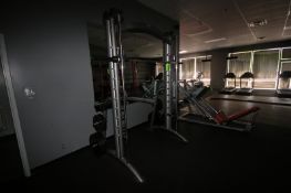 Matrix Smith Press Machine, with Some Weight Plates, Overall Dims.: Aprox. 90