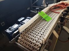 180° Span Teck plastic belt conveyor,  8