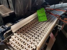 180° Span Teck plastic belt conveyor,  8