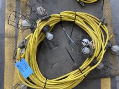 Light - String 100' (110 Volt)