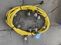 Light - String 100' (110 Volt)