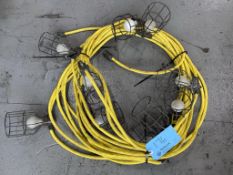 Light - String 100' (110 Volt)