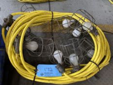 Light - String 100' (110 Volt)