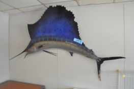 Wall Hanging Sailfish