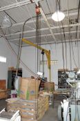 CM 1-Ton Chain Fall Hoist