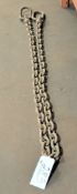 12' 2-Ring Chain Sling