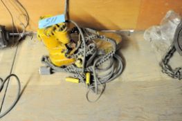 Budgit 1/2-Ton Electric Hoist, (Upstairs Mezzanine)