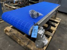 CRUM Powered Plastic Belt Conveyor