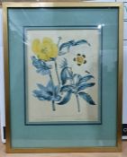 Assorted prints, mirrors to include print of Peter Rabbit, botanical studies, etc (1 box)