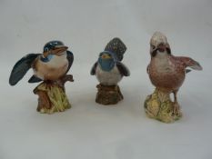 Six Beswick model birds to include Kingfisher, 2417 Jay, Magpie, Lapwing 2416 and two others (6)