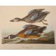 Dock, George Junior  "The Audubon Folio, 30 Great Bird Paintings", elephant folio, limp covers - Image 2 of 4
