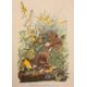 Dock, George Junior  "The Audubon Folio, 30 Great Bird Paintings", elephant folio, limp covers - Image 3 of 4