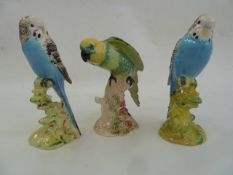 Two Beswick model budgies, 1216 and 1217 in blue and a parrot 930 in yellow and green (3)  Part of