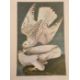 Dock, George Junior  "The Audubon Folio, 30 Great Bird Paintings", elephant folio, limp covers - Image 4 of 4
