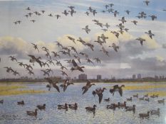 Peter Scott  Limited edition print  