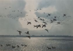 Peter Scott  Five colour prints  